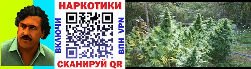 Где можно купить наркотики Котлас Марихуана  МЕФ  ГАШИШ 